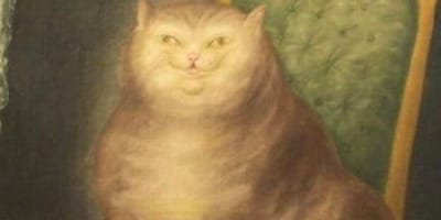 Qué gato medieval eres según tu mes de nacimiento