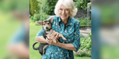 Queen Camilla holding puppy at Battersea Dog's Home