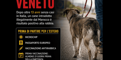 rabbia a Vittorio Veneto