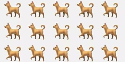 Puzzel kat tussen honden