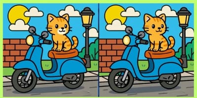 Ratebild Katze auf Roller