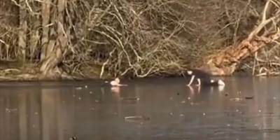 Ratunek na zamarznietym jeziorze