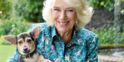 Reine Camilla
