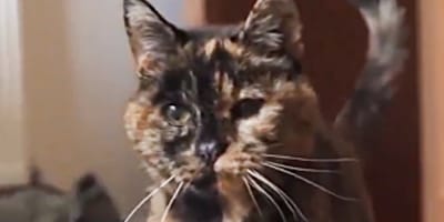 Rekordhalterin Flossie