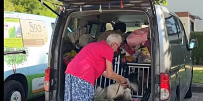 Rentnerin lebt mit ihren 4 Hunden im Van