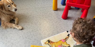 reparto di neurologia pediatrica