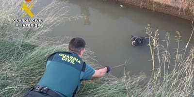 rescate-pitbull-guardia-civil