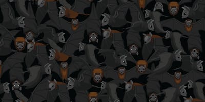 reto viral Halloween gatos