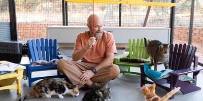 Retraité et chats de refuge