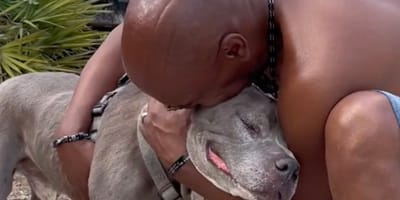 Dog and owner reunion