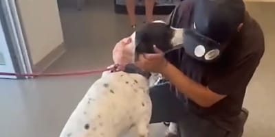A heartwarming reunion between a man and his dog