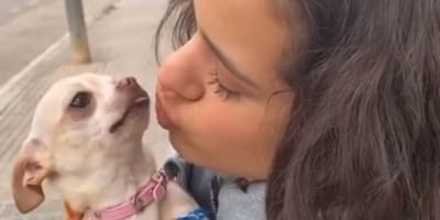 rosalia-besa-perrita-mochi