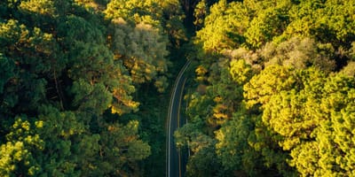 A quiet road