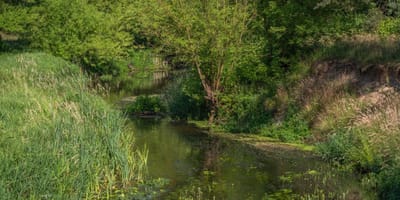Fluss