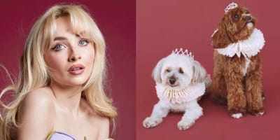 Sabrina Carpennter and dogs