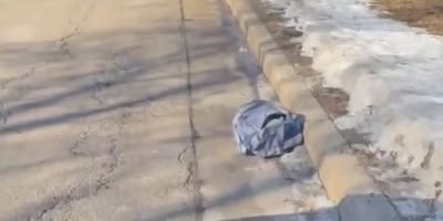 Sac en bord de route