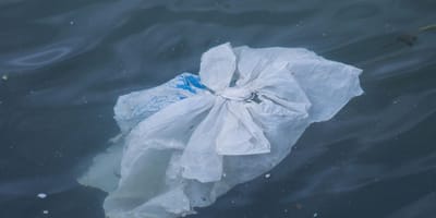 Sac en plastique