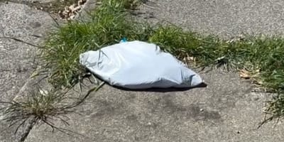 Abandoned plastic bag