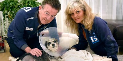 Sammy krijgt tweede leven als Gamma hond