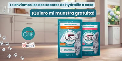 Sampling PURINA® HydraLife de pollo y salmón: participa y recibe una prueba gratuita.