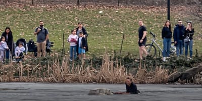 Salvataggio di un cane a Central Park