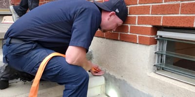 Rettung von Kätzchen