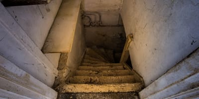 escaleras al sótano y perro