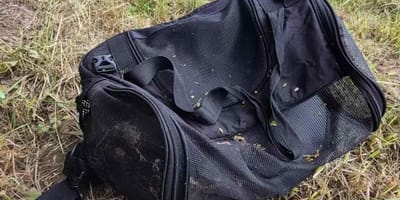 Sac de voyage noir trouvé dans un buisson