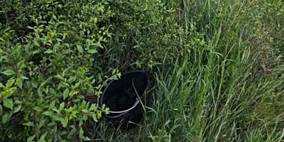 Schwarzer Eimer im Gras