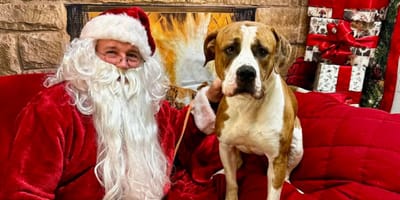 Séance photo de Noël
