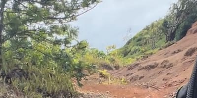 Hiking trail
