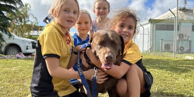 Shiloh is de laatste hond van Christmas Island