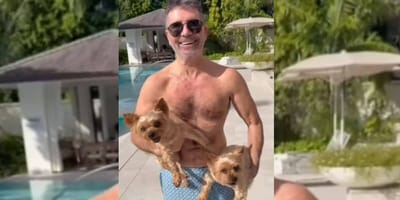 Simon Cowell holding two dogs