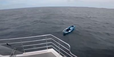 A trip out at sea