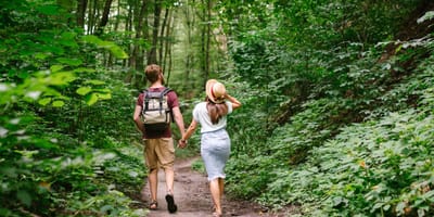 Spaziergänger finden Handtuch im Wald