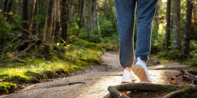 Spaziergängerin findet 2 ausgesetzte Katzenfamilien