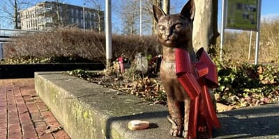 Stationskat Brammetje krijgt bronzen beeld in Purmerend