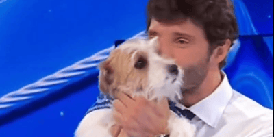 Stefano De martino e Tommasino