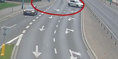 Stłuczka spowodowana przez psa