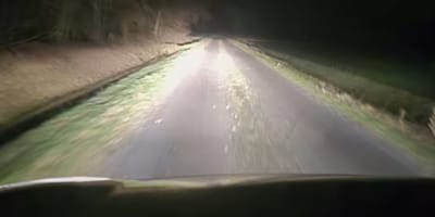 Straße vor dem Tierheim