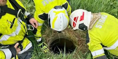 strażacy wyciągają psa ze studni