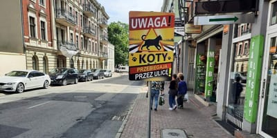 Tablica informacyjna o kotach w Gnieźnie