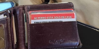 tarjeta-cartera-emergencia-perro