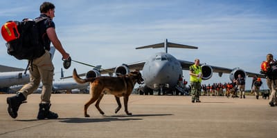 Team USAR vliegt met 8 honden weer terug vanuit Venezuela