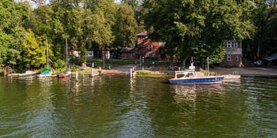 Tegeler See: Hond vergiftigd door blauwalgen