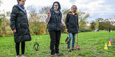 Teilnehmer beim Hobby Dogging