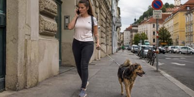 Telefonierende Frau geht Gassi