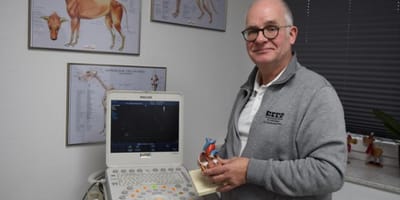 Tierarzt Dr. Stephan Baumeister