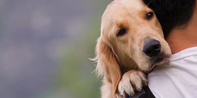 Tierschutzbeauftragte schon wieder entlassen
