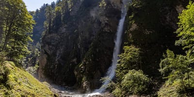 Tirol: hondenverzorgster stort naar beneden